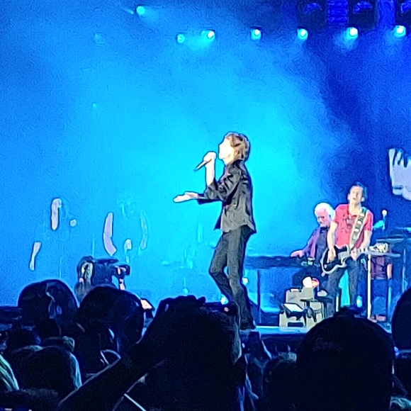 Meet your Posher, David - Picture 9 of 17